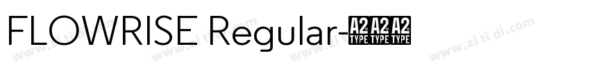 FLOWRISE Regular字体转换